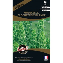 Molucelle, Clochette d'Irlande