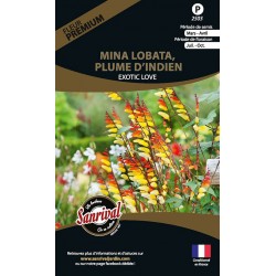 Mina Lobata, Plume D'Indien Exotic Love