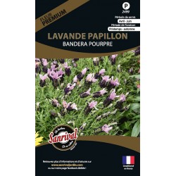 Lavande Papillon Bandera...
