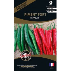 Graines de Piment fort Impalaya