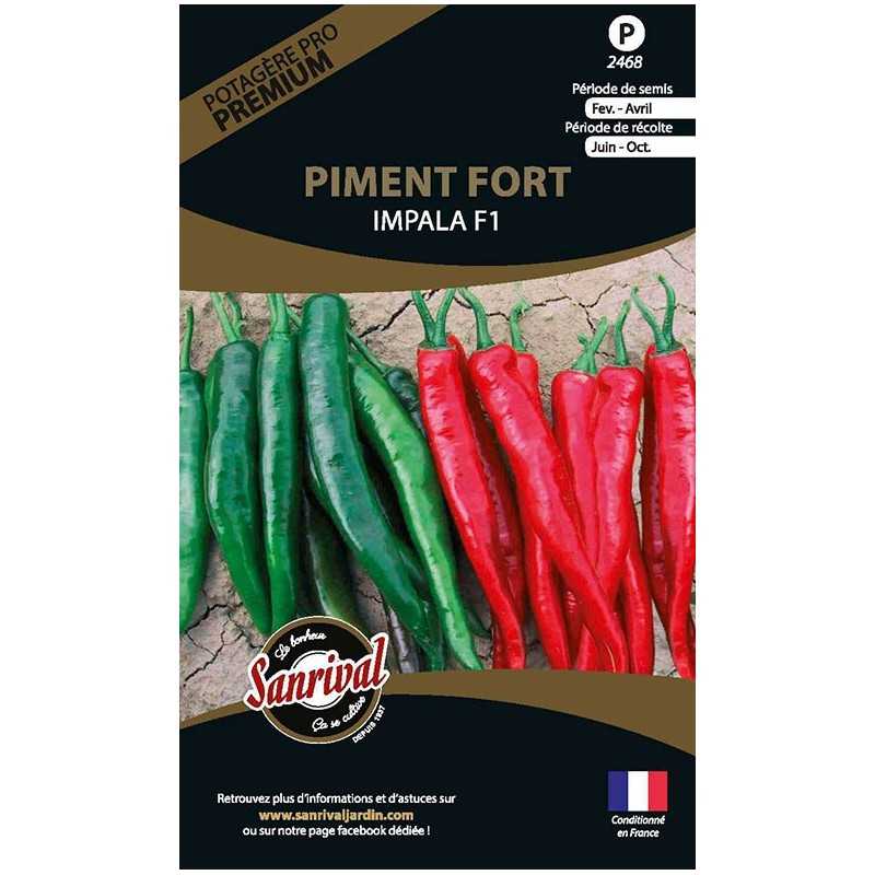 Graines de Piment fort Impalaya