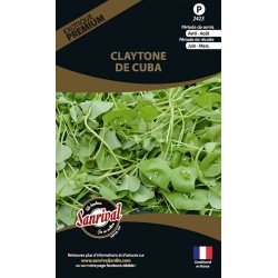 Claytone De Cuba
