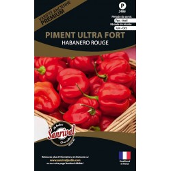 Graines de Piment Ultra Fort Habanero Rouge