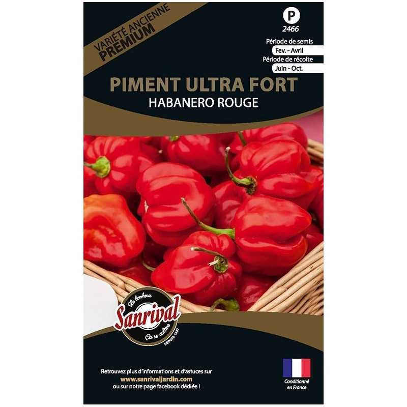 Graines de Piment Ultra Fort Habanero Rouge Graines de Piment Ultra Fort Habanero Rouge