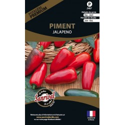 Graines de Piment Jalapenos
