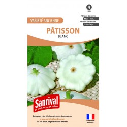 Graines de Pâtisson blanc