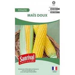 Graines de Maïs doux