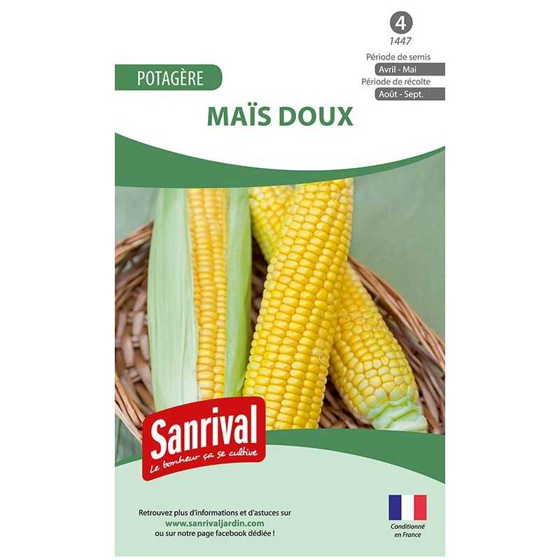 Graines de Maïs doux Graines de Maïs doux