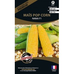 Graines de Maïs Pop Corn nana f1