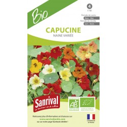 Capucine Naine vari&eacute;e