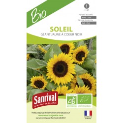Soleil G&eacute;ant jaune &agrave; coeur noir
