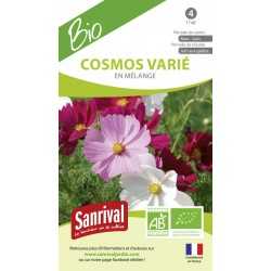 Cosmos vari&eacute; en m&eacute;lange