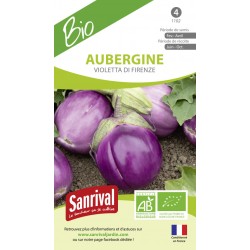 graines d'Aubergine violetta di firenze