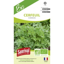 Cerfeuil Commun