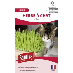 Graines d'herbe &agrave; chat (orge)
