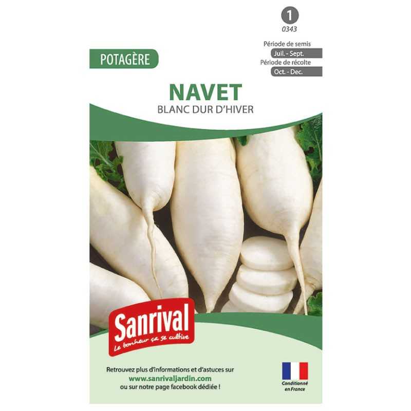 Graines de Navet Blanc dur d'hiver Graines de Navet Blanc dur d'hiver
