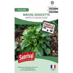 graines de M&acirc;che Verte &agrave; coeur plein (doucette)