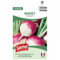 Graines de Navet de Nancy