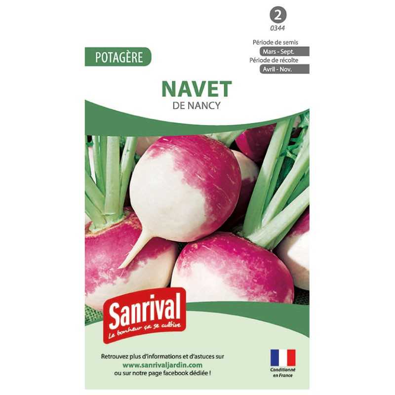 Graines de Navet de Nancy Graines de Navet de Nancy