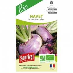 Graines de Navet Rouge Plat H&acirc;tif