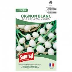 Graines de Oignon blanc de la reine Sp&eacute;cial vinaigre