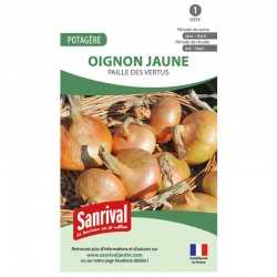 Graines de Oignon jaune Paille des vertus