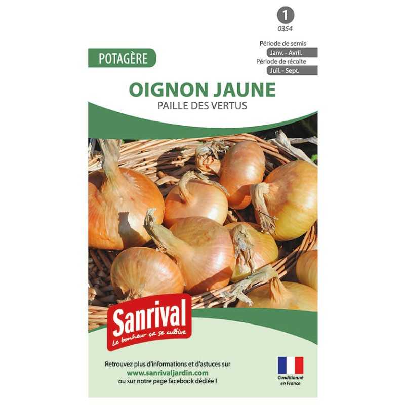 Graines de Oignon jaune Paille des vertus