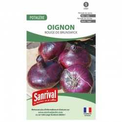 Graines d'Oignons Rouge de Brunswick