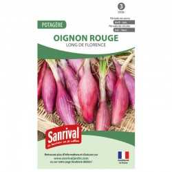 Graines de Oignon rouge long de Florence