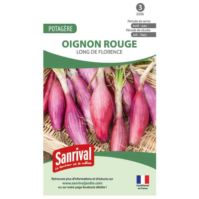 Graines de Oignon rouge long de Florence Graines de Oignon rouge long de Florence