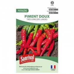 Graines de Piment doux très long des Landes