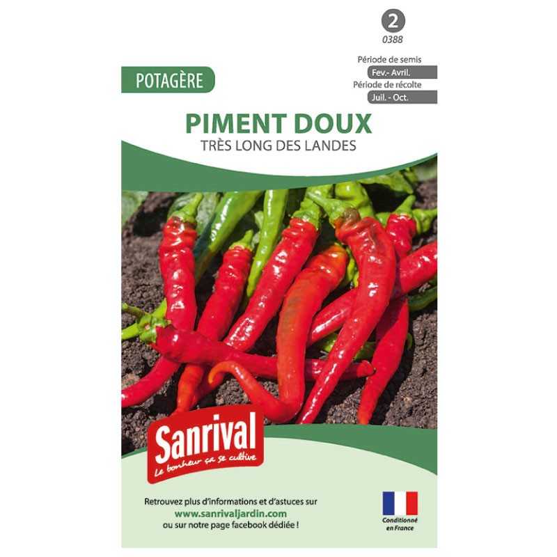 Graines de Piment doux très long des Landes Graines de Piment doux très long des Landes