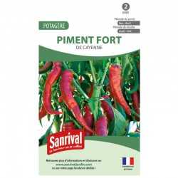 Graines de Piment fort de Cayenne