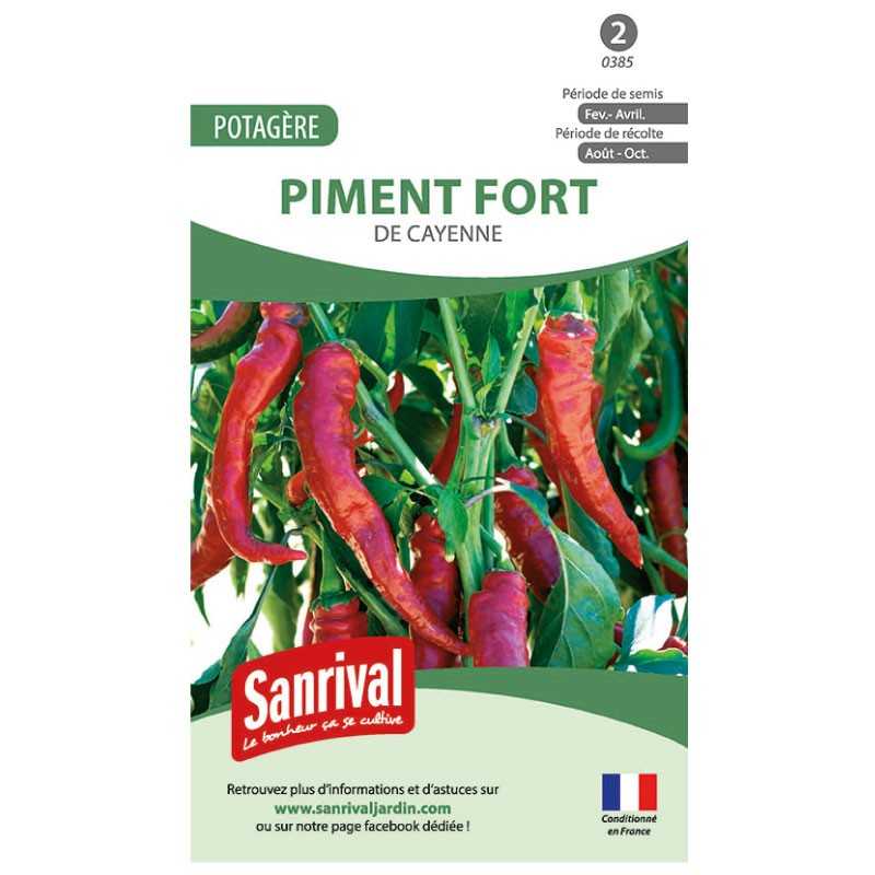 Graines de Piment fort de Cayenne Graines de Piment fort de Cayenne