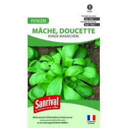 Graines de M&acirc;che Ronde maraich&egrave;re (doucette)