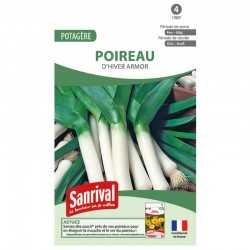 Graines de Poireau Bleu de Solaize