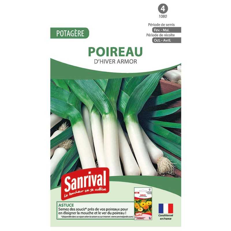 Graines de Poireau Bleu de Solaize