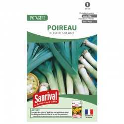 Graines de Poireau Bleu de Solaize