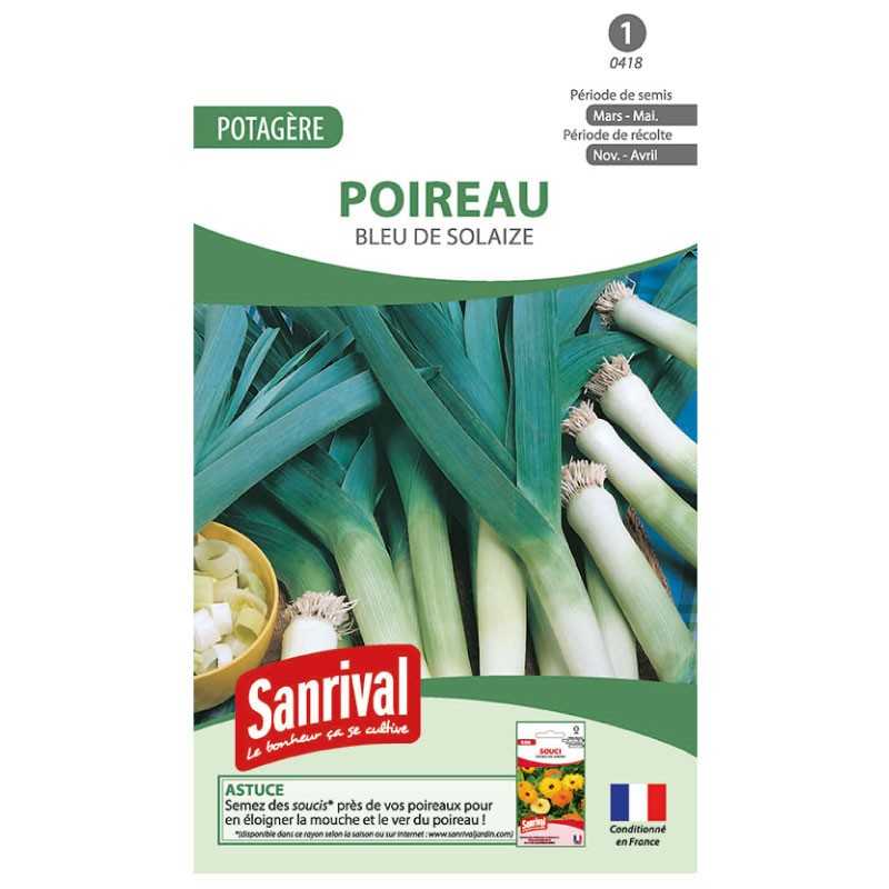 Graines de Poireau Bleu de Solaize