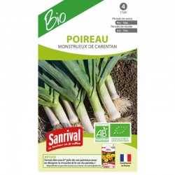 Graines de Poireau monstrueux de carentan