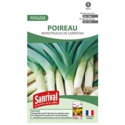 Graines de Poireau Monstrueux de Carentan
