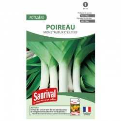 Graines de Poireau Monstrueux d'Elbeuf