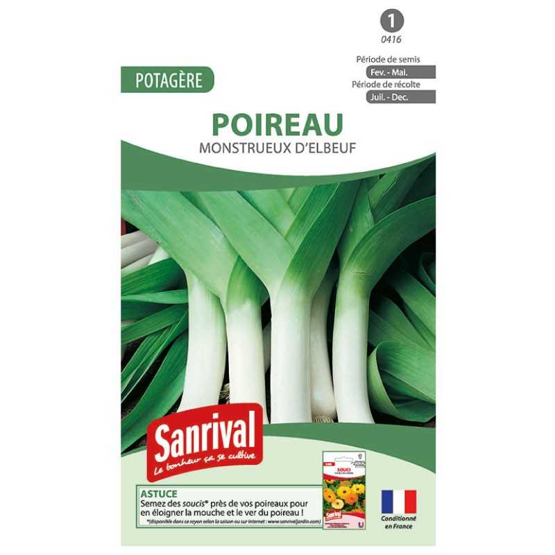 Graines de Poireau Monstrueux d'Elbeuf Graines de Poireau Monstrueux d'Elbeuf