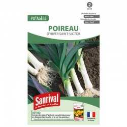 Graines Poireau Hiver Saint-Victor
