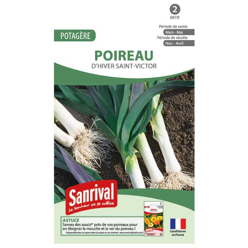 Graines Poireau Hiver Saint-Victor