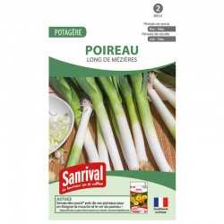 Graines de Poireau Long de M&eacute;zi&egrave;res