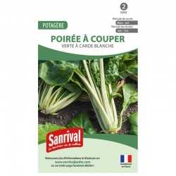 Graines de Poirée à couper verte à carde blanche