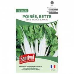 Graines de Poirée verte à carde blanche