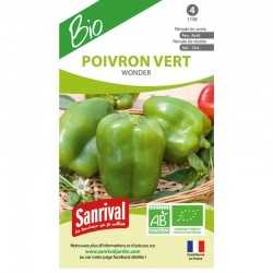 Poivron vert Wonder