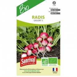 Radis Gaudry 3